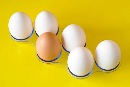 brown egg in a middle of white,on yellow background