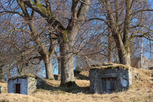 Rock cellar