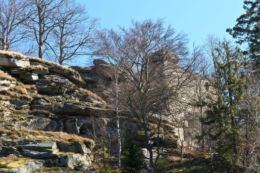Epprechtstein Castle Ruins