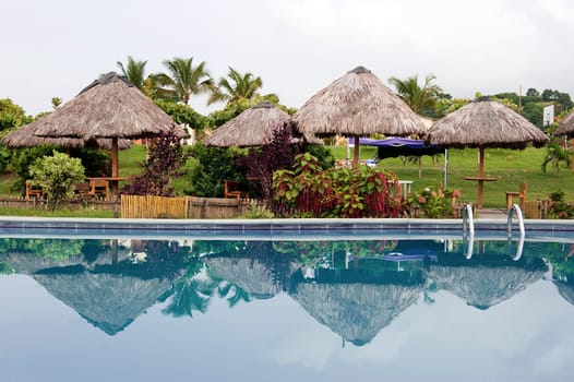 Pool in a tropical park in Ecuador
