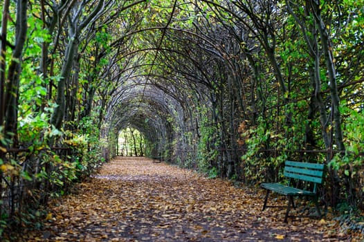 Arcade in autumn