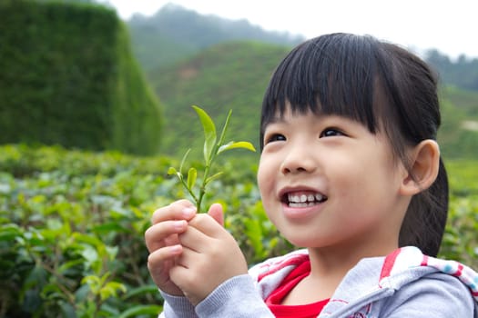 Young child holding a tea leaf in her hand