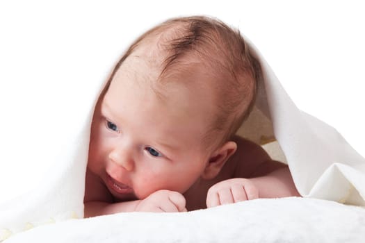portrait of adorable baby. beautiful baby boy on white background.  1 month baby.