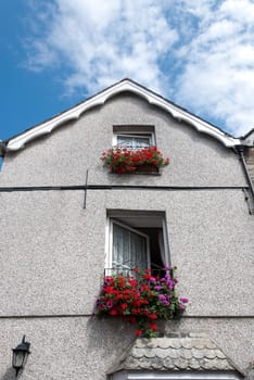 house with flowers in Padstow in Cornwall