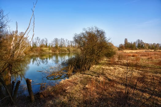 La petite Camargue Alsacienne