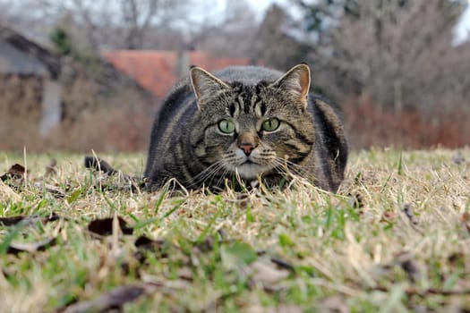 On the hunt