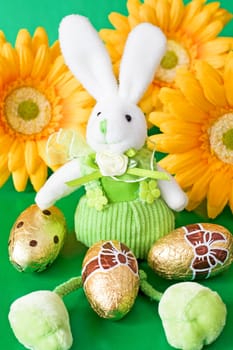 easter bunny sit on green background with yellow flowers