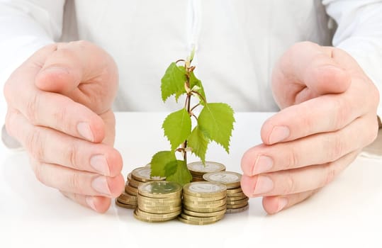 concept for good investment and money making