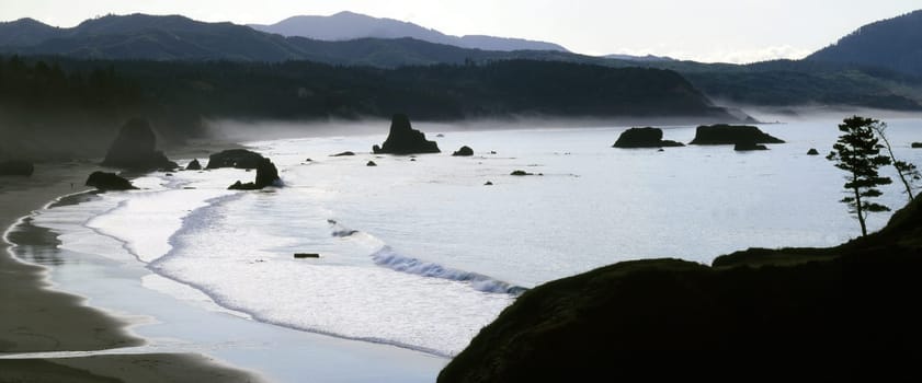 Ecola Park on Oregon Coast