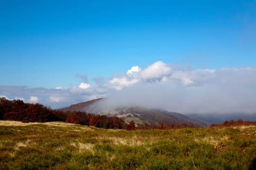 An image of autumn trees in the mountains