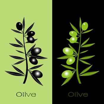 Silhouette of black and green olives branch