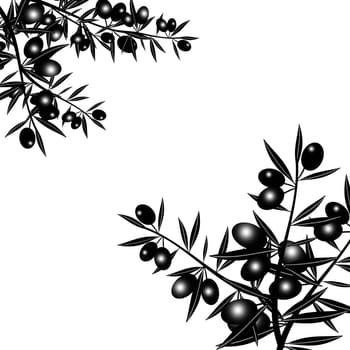 Black Olive branch isolated on white background