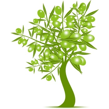 Green Olive branch isolated on white background