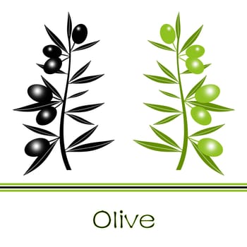 Silhouette of black  and green olives branch