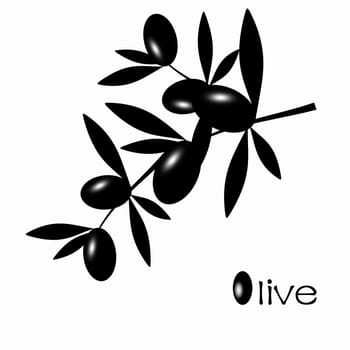 Black Olive branch isolated on white background