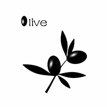 Black Olive branch isolated on white background