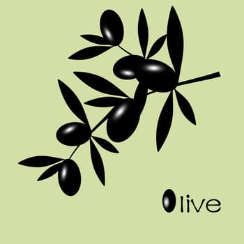 Black Olive branch isolated on white background