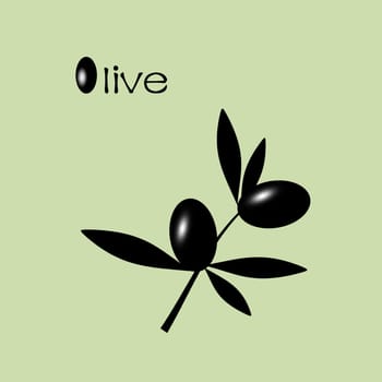 Black Olive branch isolated on white background