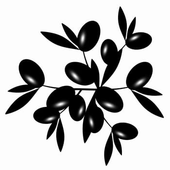 Black Olive branch isolated on white background