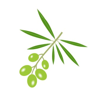Green Olive branch isolated on white background