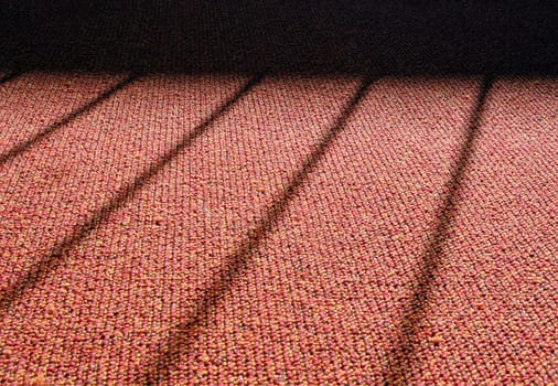Shadow