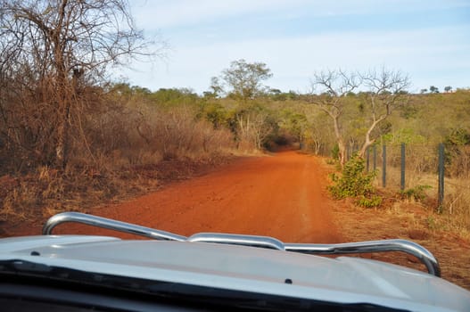 Driving a 4x4 on a laterite trail in Africa