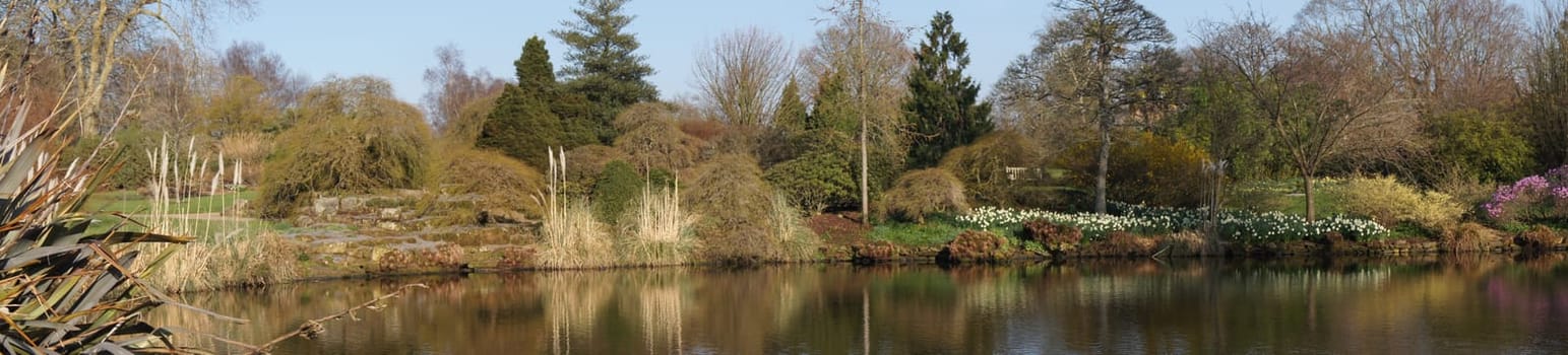 A Lake in Early Spring