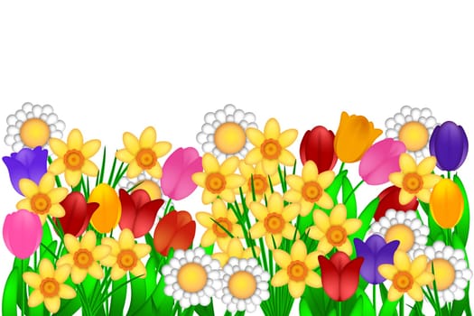 Spring Flowers with Tulips Daffodils Daisies Illustration Isolated on White Background