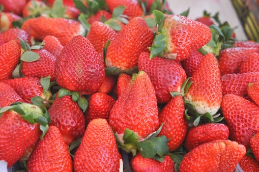 Strawberry fruit useful as a food background