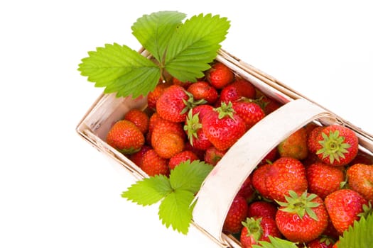 Fresh juicy strawberries in wooden basket isolated on white