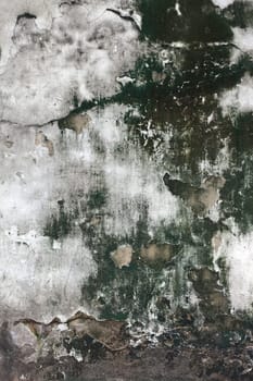 The Grunge cracked concrete wall for design