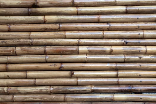 the very old bamboo background for design