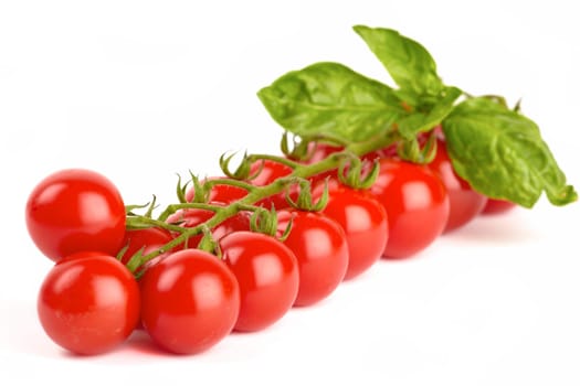 Cherry tomatoes with basil isolated against white background