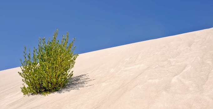 Sand dune