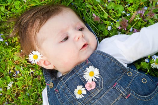 baby on green grass with daisy