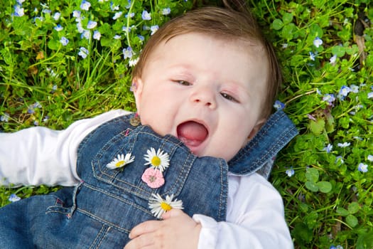 baby on green grass with daisy