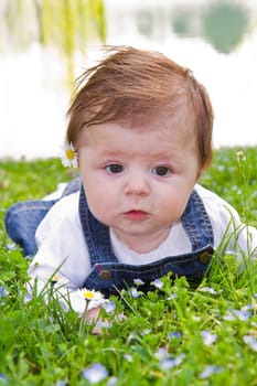 baby on green grass with daisy