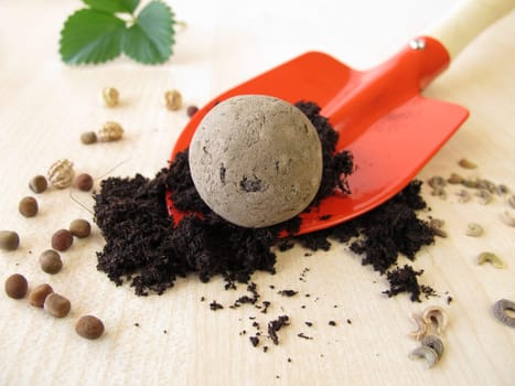Seed ball