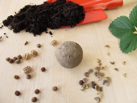Seed ball