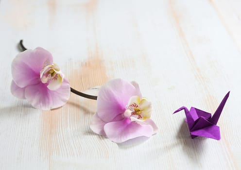 Origami