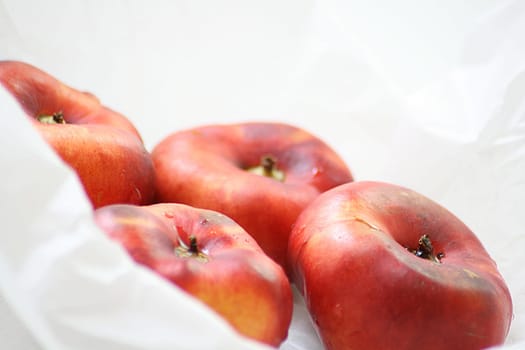 Mountain nectarines