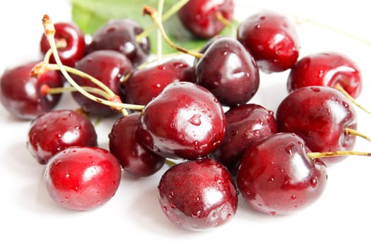 Wet cherries on white background