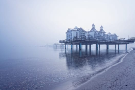 in the fog