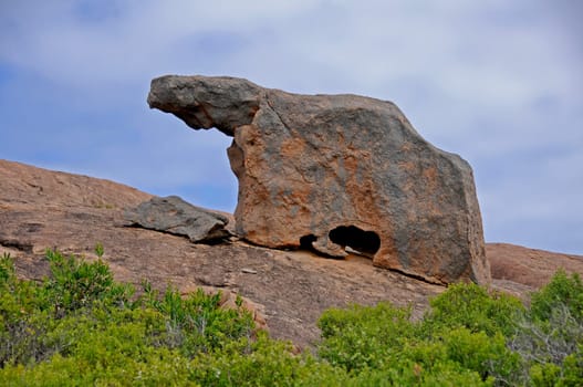 Elephant Rock