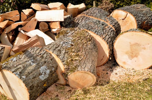 Chopping wood,firewood,ash,hardwood