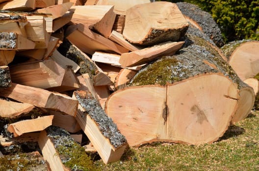 Chopping wood,firewood,ash,hardwood