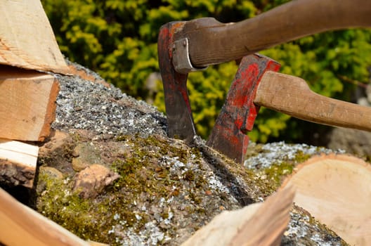 Chopping wood,firewood,ash,hardwood
