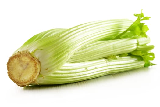 Fresh celery isolated on white