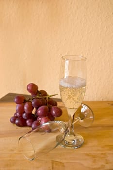 Sparkling wine style