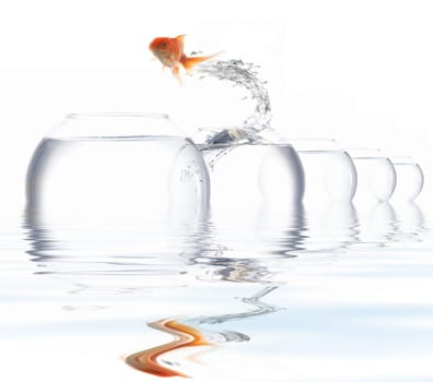 An image of a golden fish leaping out of the water